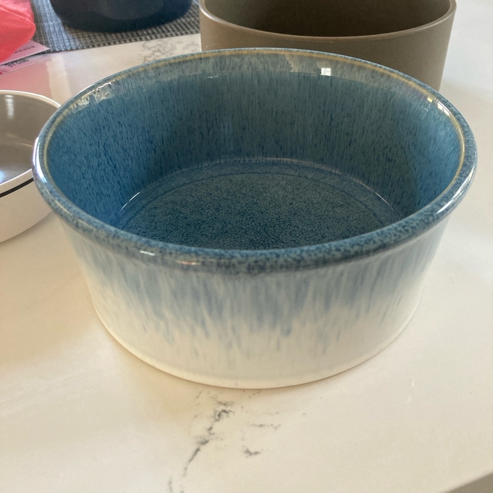 Gibson Home porcelain stoneware pet water bowl